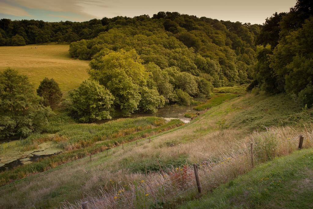 Cwrt Yr Ala Estate Кардифф Экстерьер фото